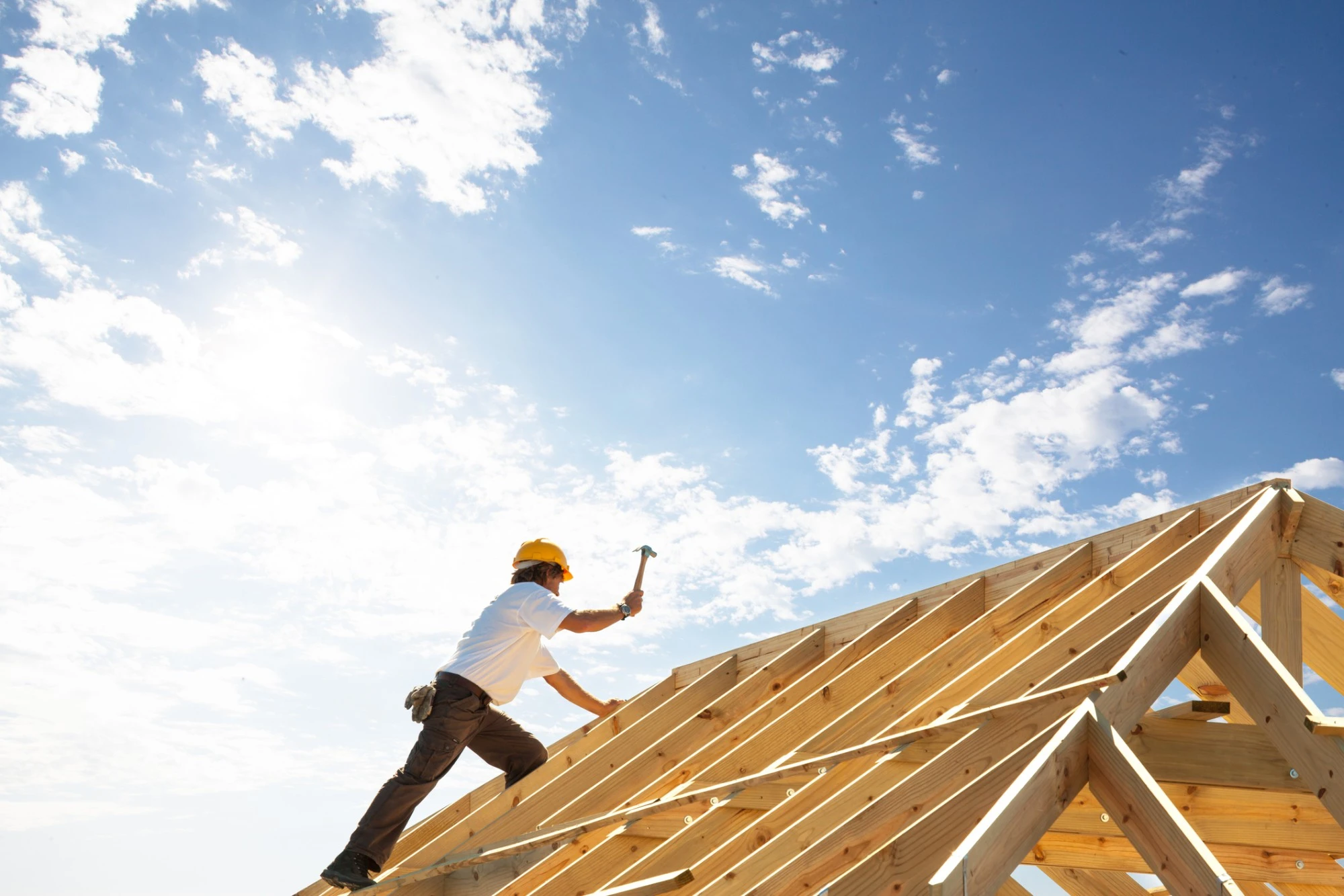 Professional Roofing Company